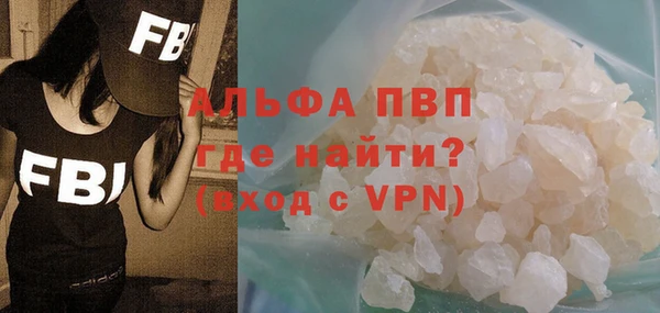 прущие грибы Гусь-Хрустальный