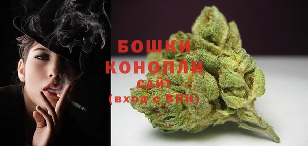 прущие грибы Гусь-Хрустальный