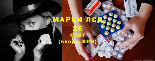 гидра Гусиноозёрск