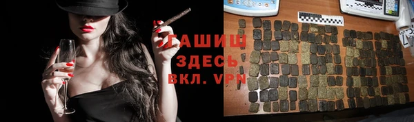 прущие грибы Гусь-Хрустальный