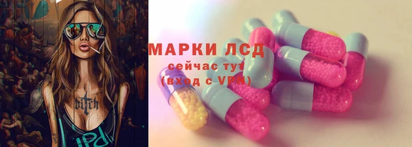 прущие грибы Гусь-Хрустальный