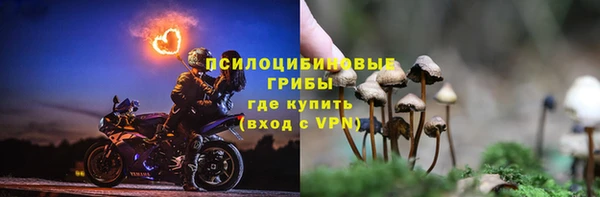 прущие грибы Гусь-Хрустальный