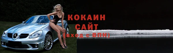 гидра Гусиноозёрск