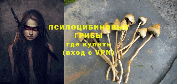 а пвп мука Гусев