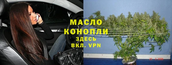 гидра Гусиноозёрск