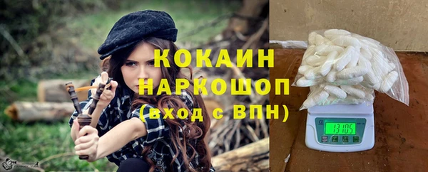 гидра Гусиноозёрск