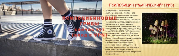 а пвп мука Гусев