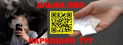 гашик Сланцы