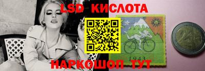 гашик Сланцы