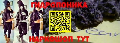 гашик Сланцы