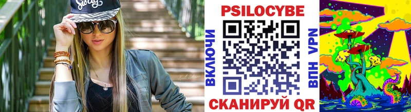 Псилоцибиновые грибы мицелий  купить наркотики сайты  Новый Уренгой 